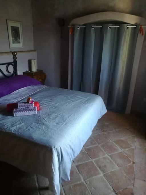 Casa Vacanza In Casale Vicino Orvieto Ficulle Exterior foto