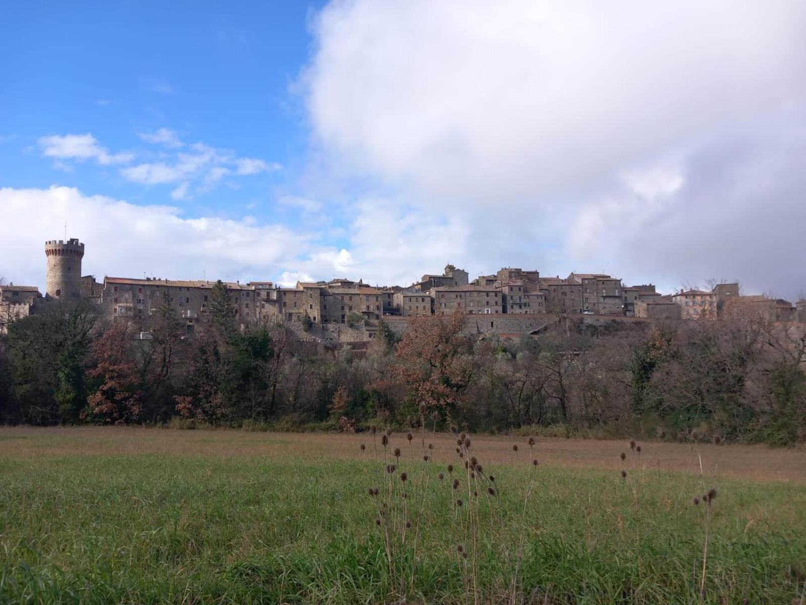 Casa Vacanza In Casale Vicino Orvieto Ficulle Exterior foto